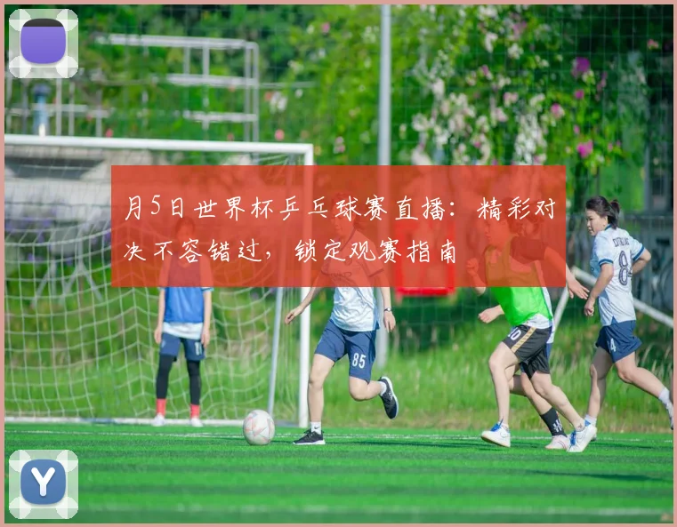 月5日世界杯乒乓球赛直播：精彩对决不容错过，锁定观赛指南