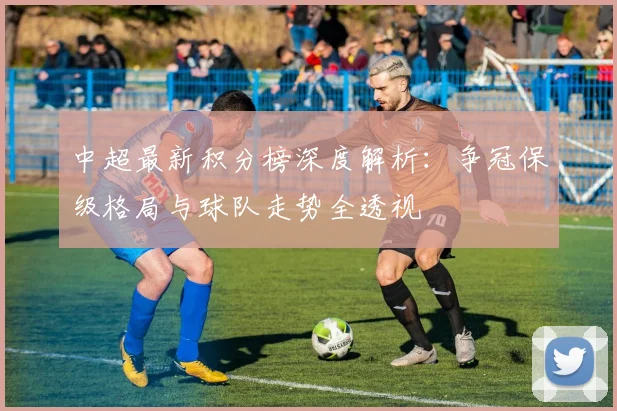 中超最新积分榜深度解析：争冠保级格局与球队走势全透视
