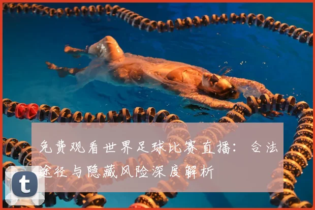 免费观看世界足球比赛直播：合法途径与隐藏风险深度解析